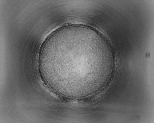 X0000114540790200911091131