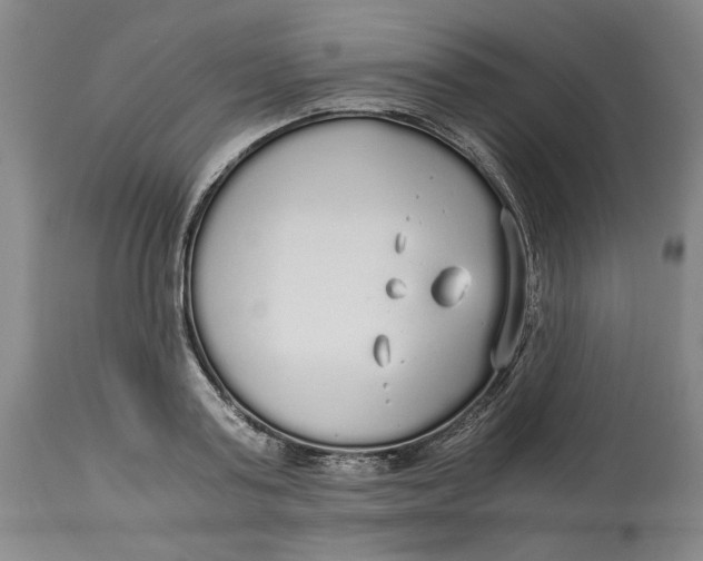 X0000114540795200911091131