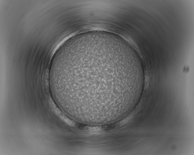 X0000114540798200911091131