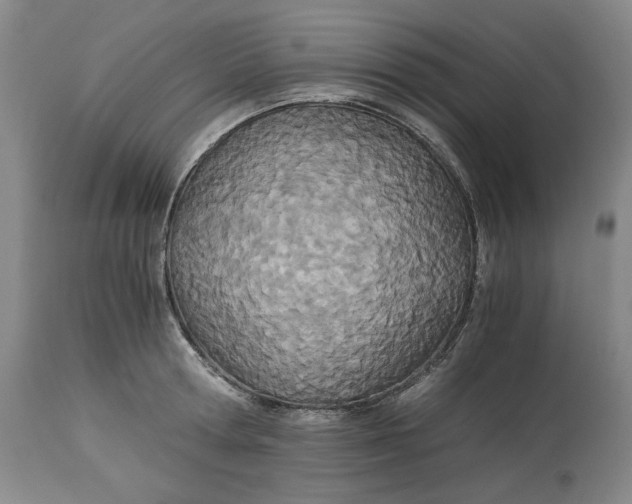 X0000114540802200911091131