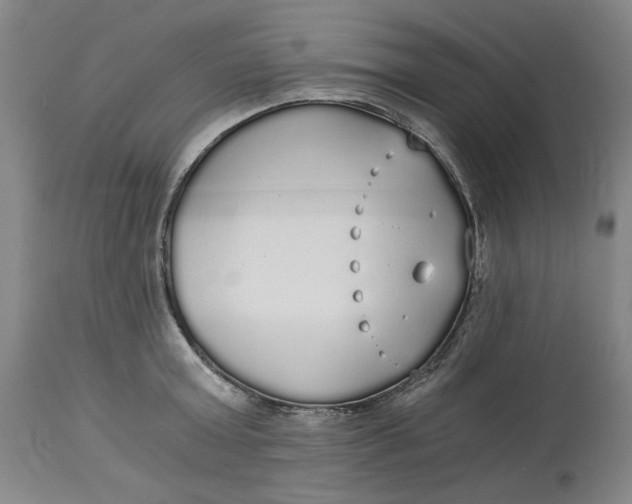 X0000114540803200911091131