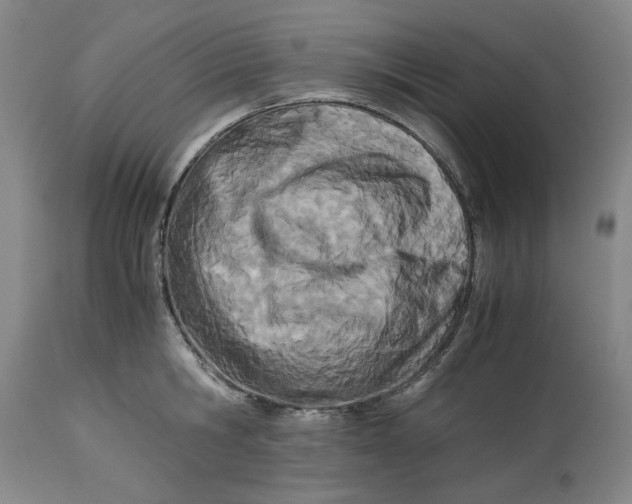 X0000114540806200911091131