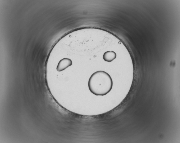 X0000114540807200911091131