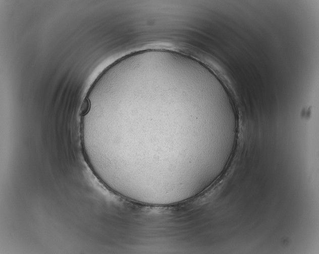 X0000114540808200911091131