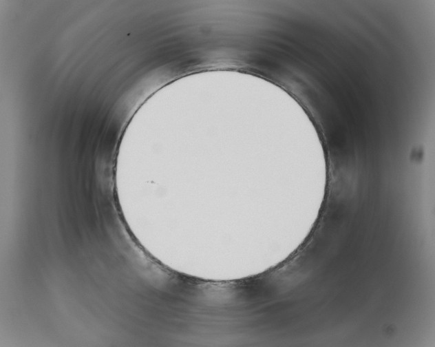 X0000114540810200911091131