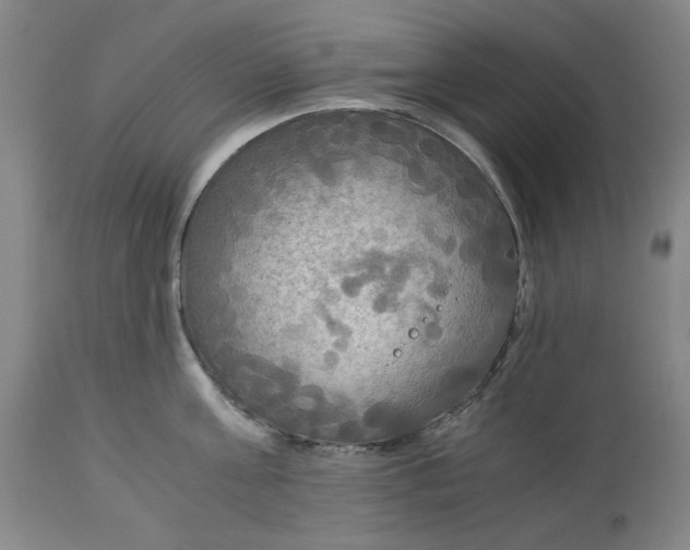 X0000114540811200911091131