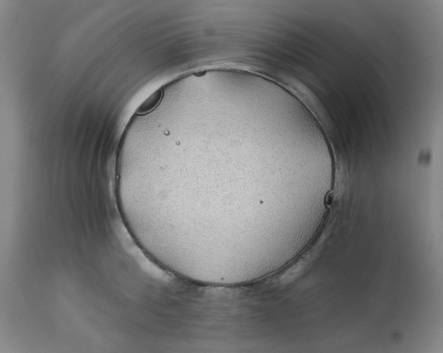 X0000114540812200911091131