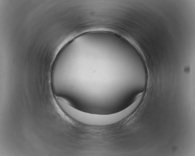 X0000114540813200911091131