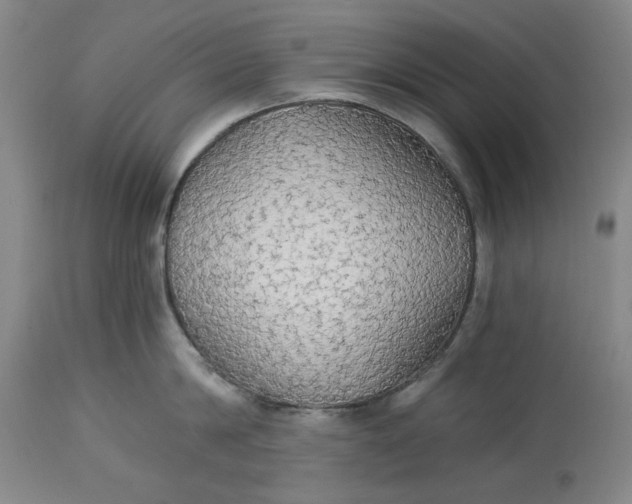 X0000114540814200911091131