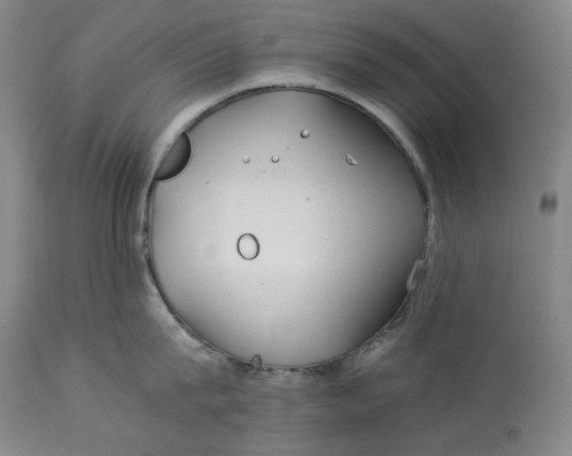 X0000114540815200911091131