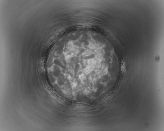 X0000114540819200911091130