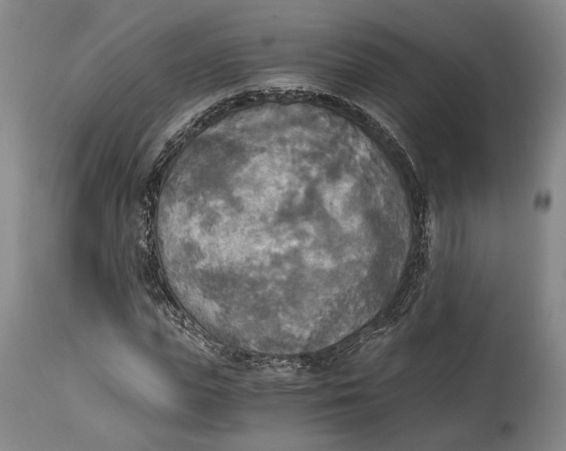 X0000114540823200911091130