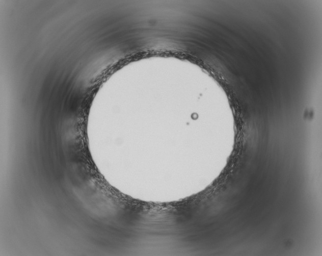 X0000114540824200911091131