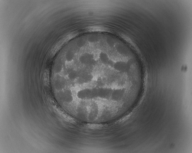 X0000114540825200911091131