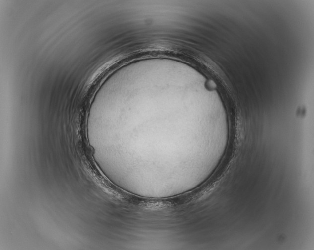 X0000114540826200911091131