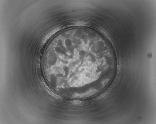 X0000114540827200911091131