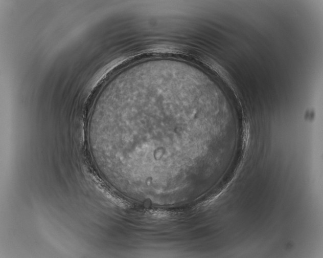 X0000114540829200911091131