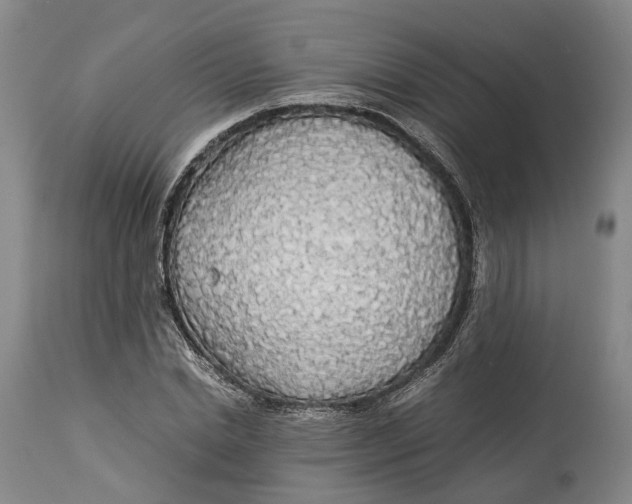 X0000114540830200911091131