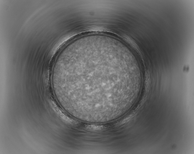 X0000114540831200911091131