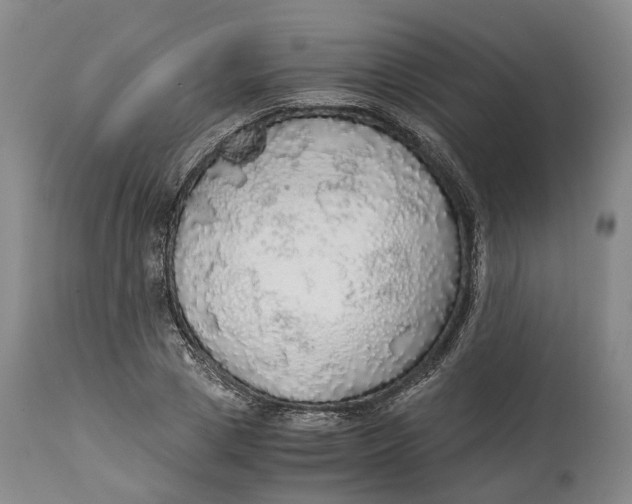 X0000114540833200911091131