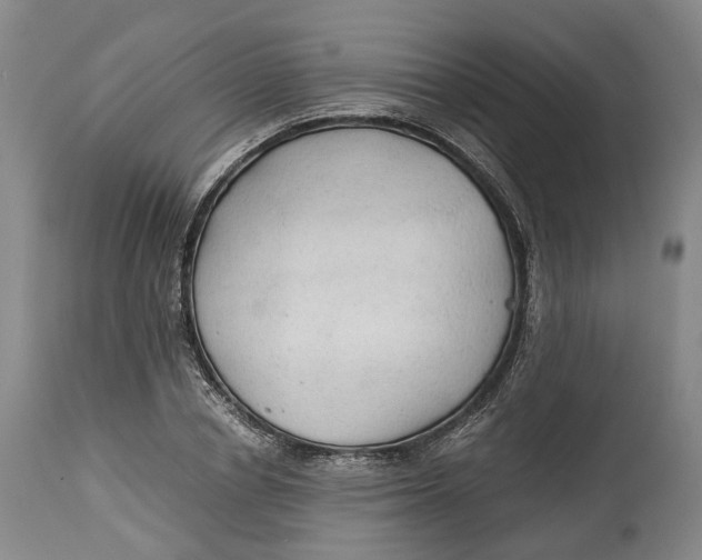 X0000114540834200911091131