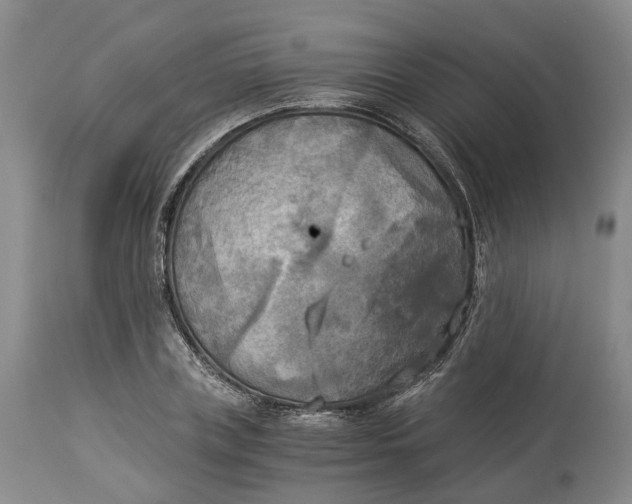 X0000114540835200911091131