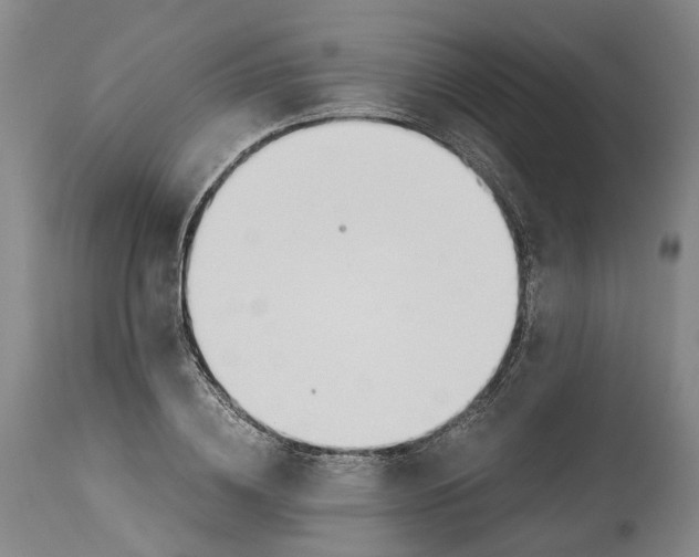 X0000114540836200911091131