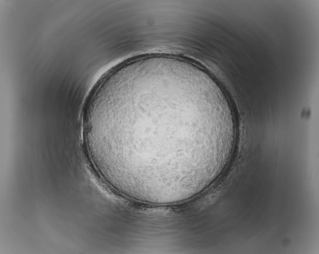 X0000114540838200911091131