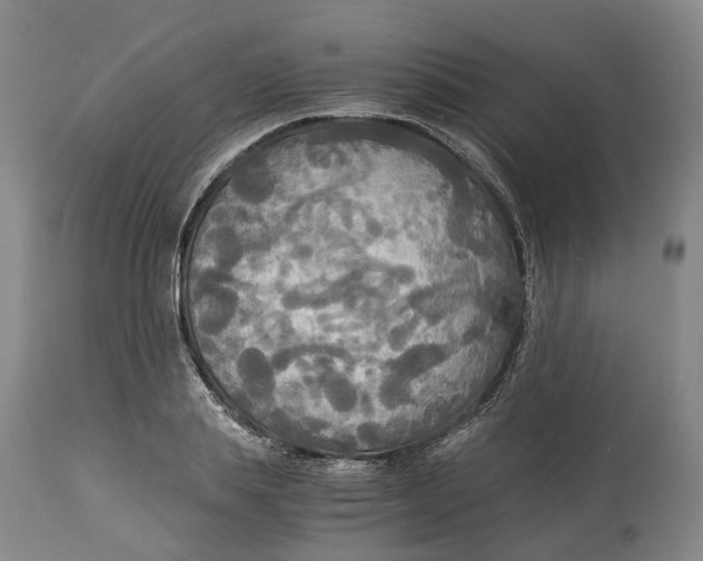 X0000114540839200911091131