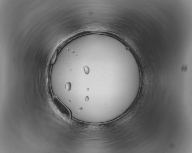 X0000114540840200911091131