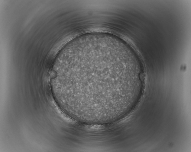 X0000114540841200911091131