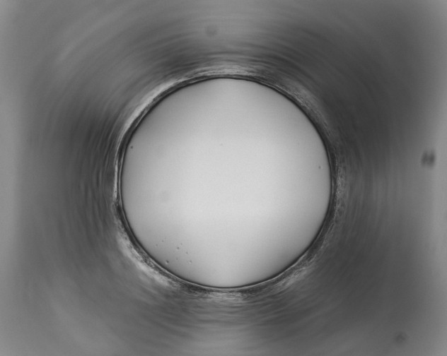 X0000114540844200911091131