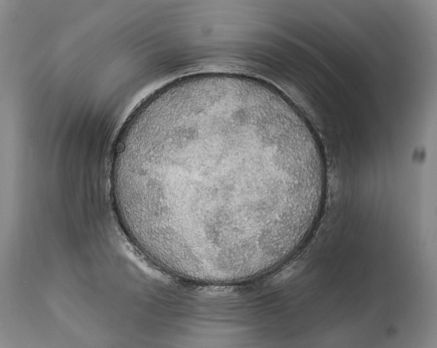 X0000114540846200911091131