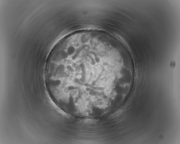 X0000114540847200911091131