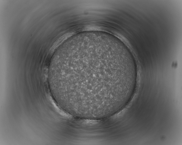 X0000114540849200911091131