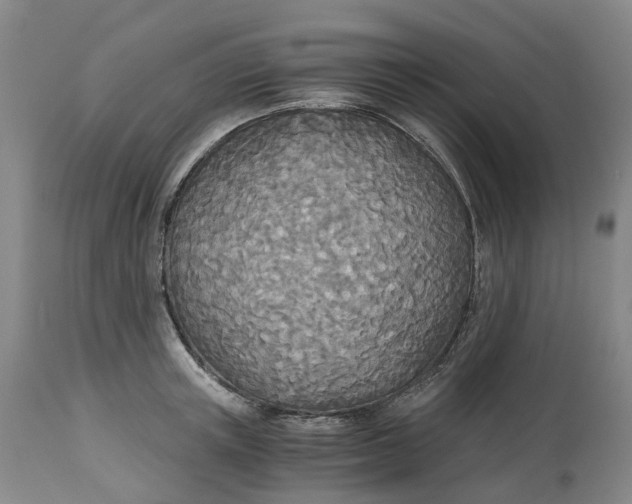 X0000114540851200911091131