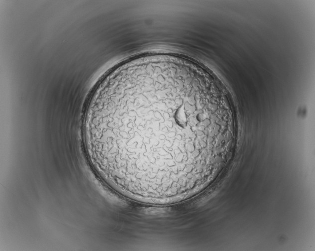 X0000114540853200911091131