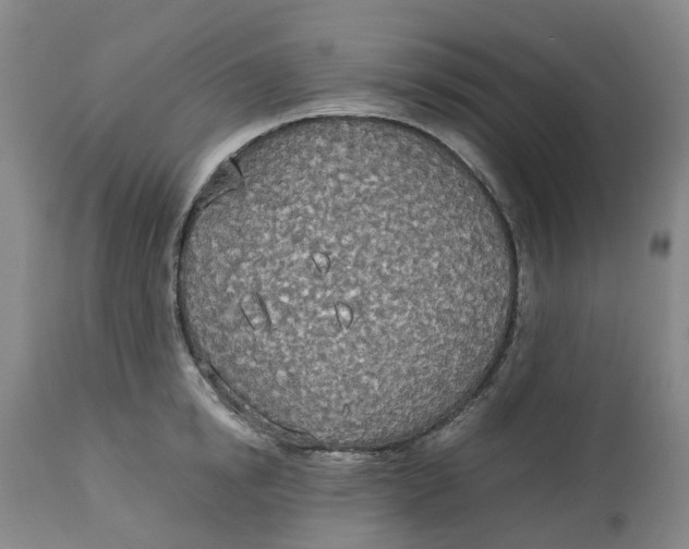 X0000114540854200911091131