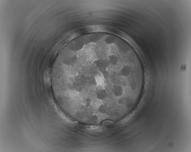 X0000114540857200911091131