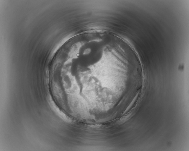 X0000114540859200911091131