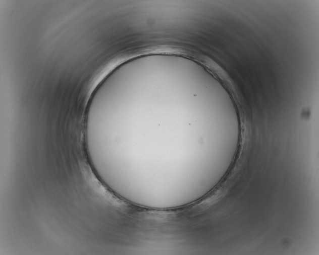 X0000114540860200911091131