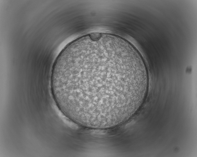 X0000114540861200911091131