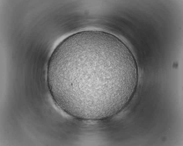 X0000114540862200911091131