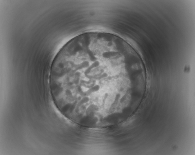 X0000114540863200911091131