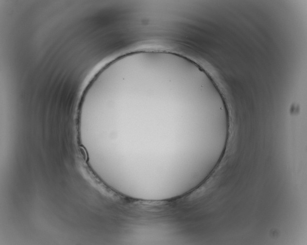 X0000114540864200911091131