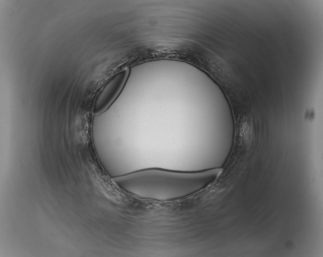 X0000114540868200911091130