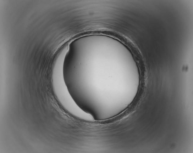 X0000114540873200911091130