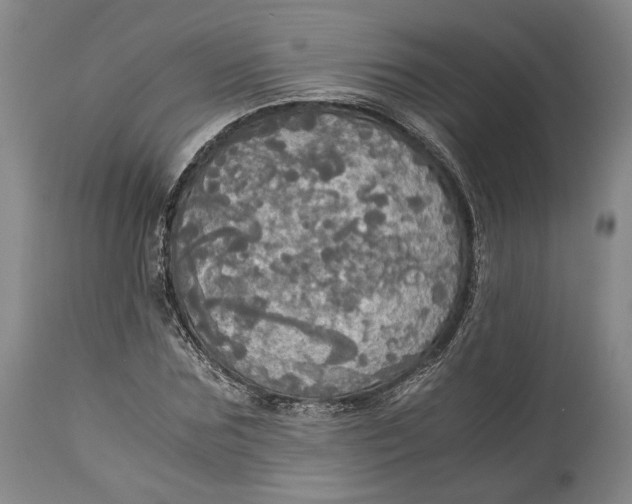 X0000114540875200911091130