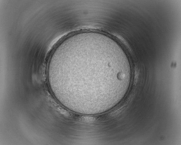 X0000114540878200911091130