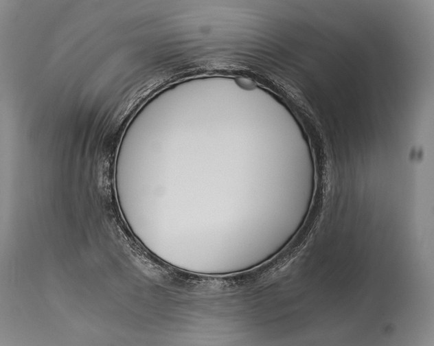 X0000114540881200911091130